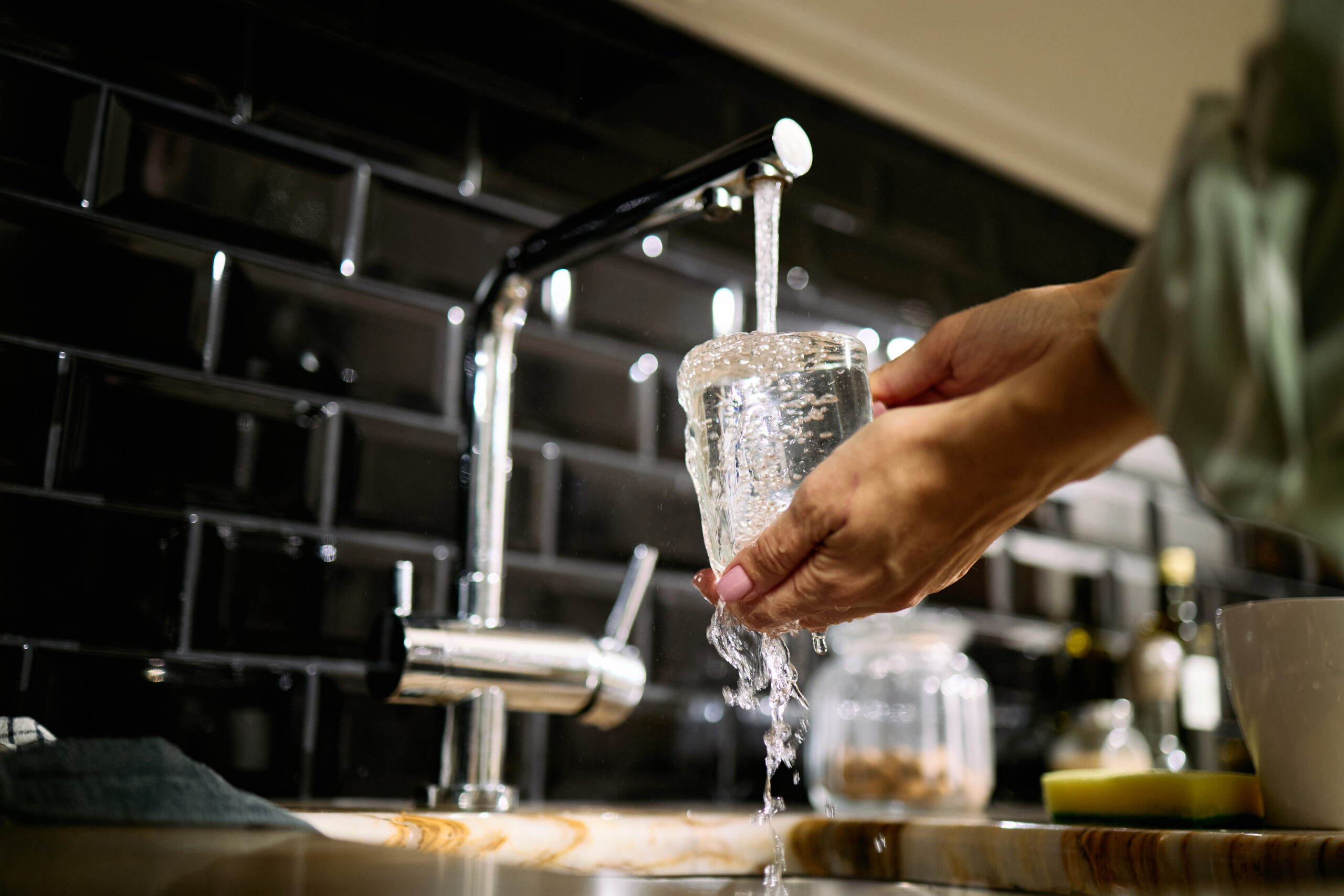 Whole-house water filtration system